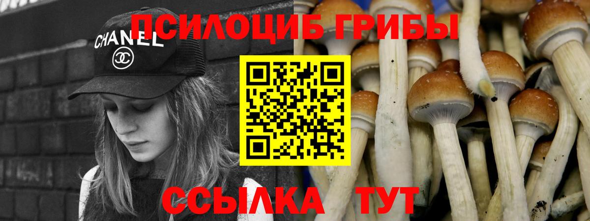 Псилоцибиновые грибы Cubensis Копейск